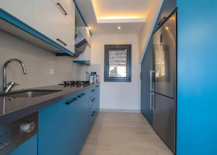 Oludeniz 3 Bedroom ヴィラ